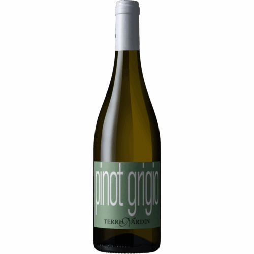 CORTE MOLINO PINOT GRIGIO DELLE VENEZIA DOC